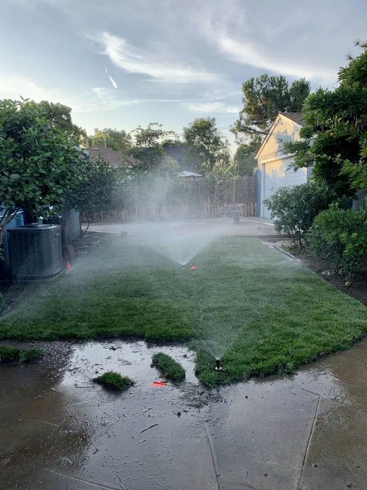 Top-rated yard cleanup service in Stockton, CA by Lawn Service 209