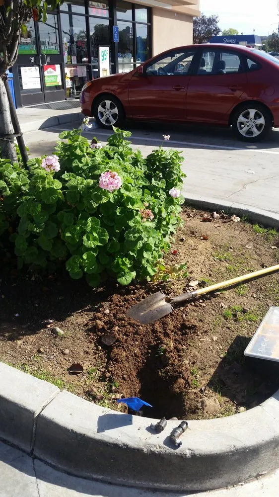 Affordable landscape installation experts serving San Diego, CA - Lawn Service By Hiram