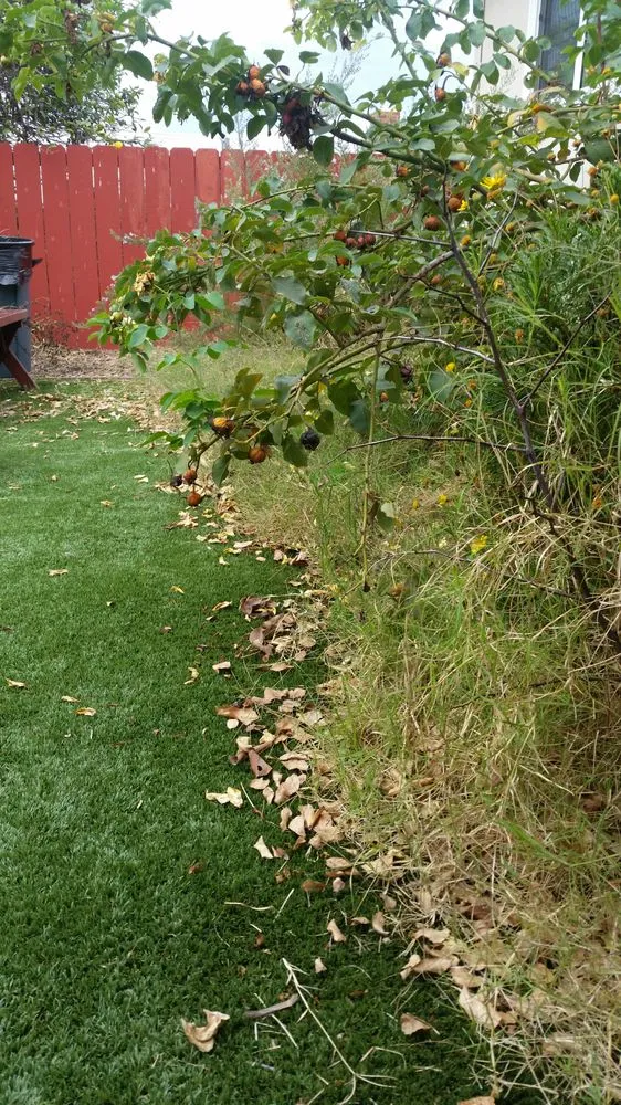 Affordable landscape installation in San Diego, CA - Lawn Service By Hiram