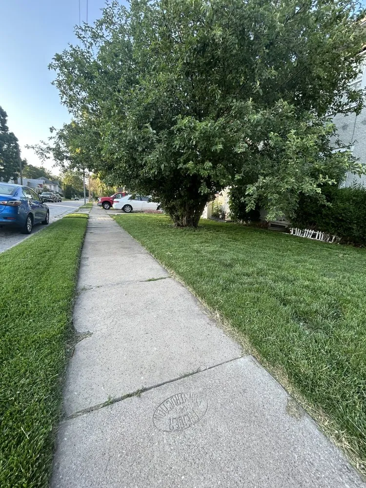 Custom landscaping services experts serving Davenport, IA - Lawn service