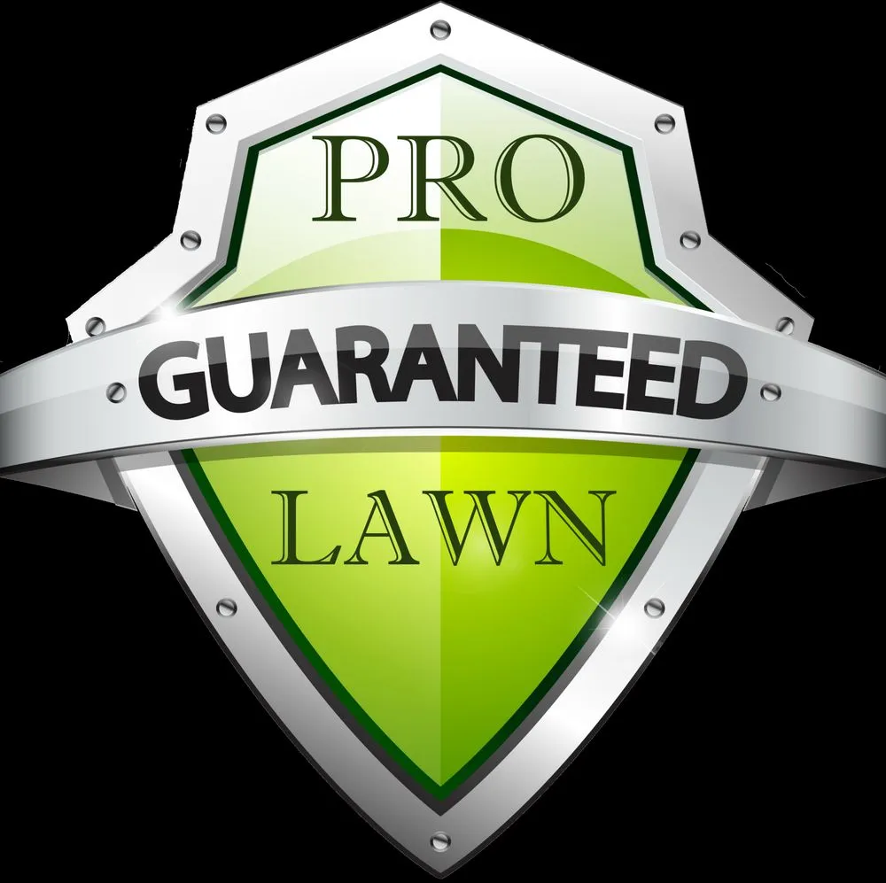 Affordable lawn care service in Georgetown, KY - Lawn Service