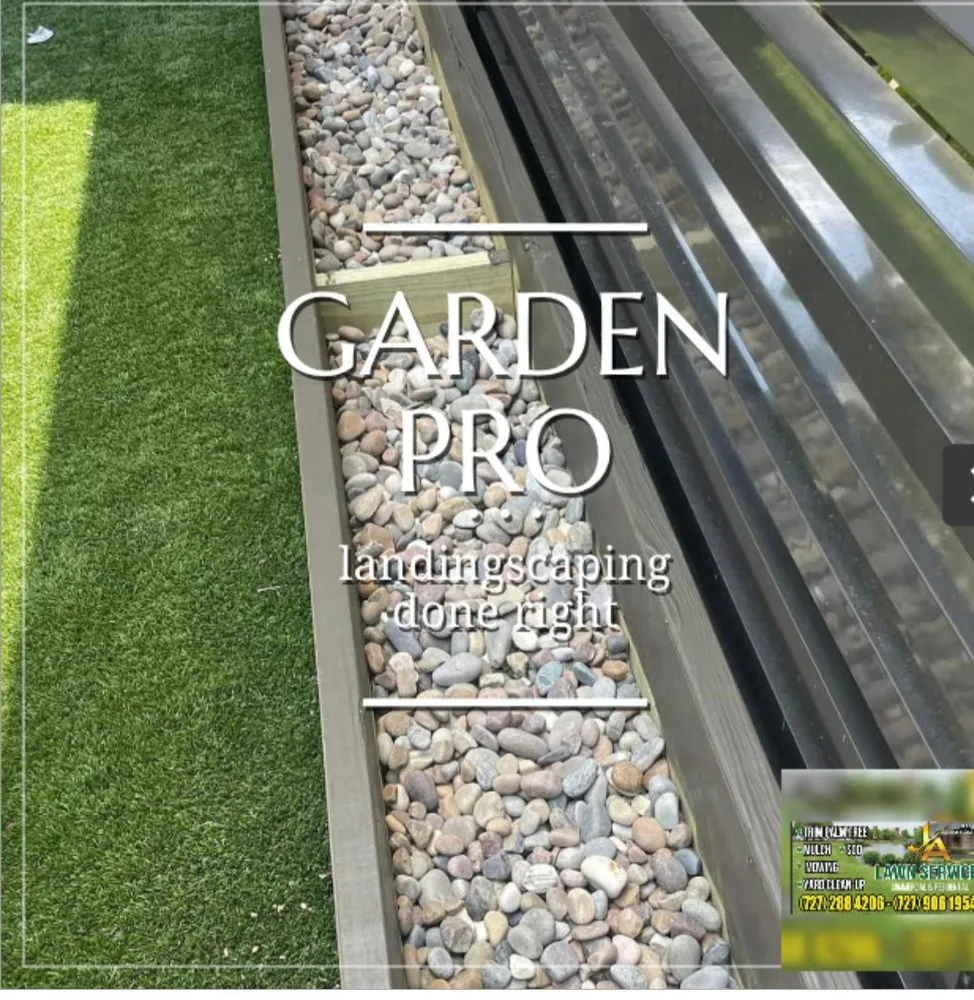 Professional lawn care service near you in Tampa Bay, FL by Lawn Service J&A