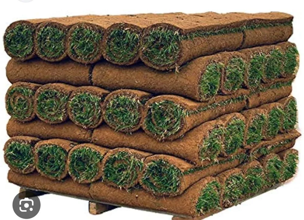 Affordable lawn care service for residential properties across Caddo Mills, TX - Lawn service Justino