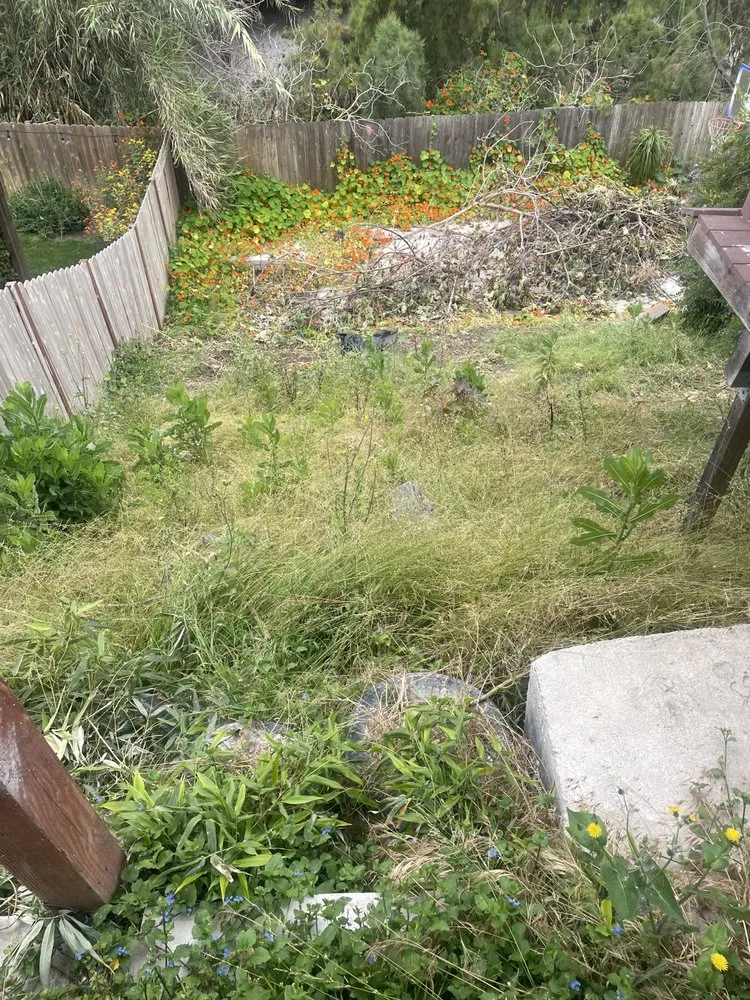 Top-rated garden landscaping in Caddo Mills, TX by Lawn service Justino