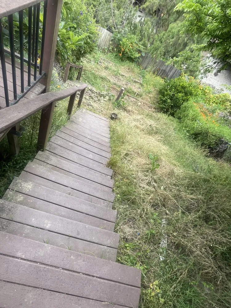 Professional yard cleanup service in Caddo Mills, TX - Lawn service Justino