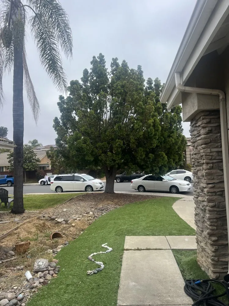 Custom yard cleanup service in Caddo Mills, TX - Lawn service Justino