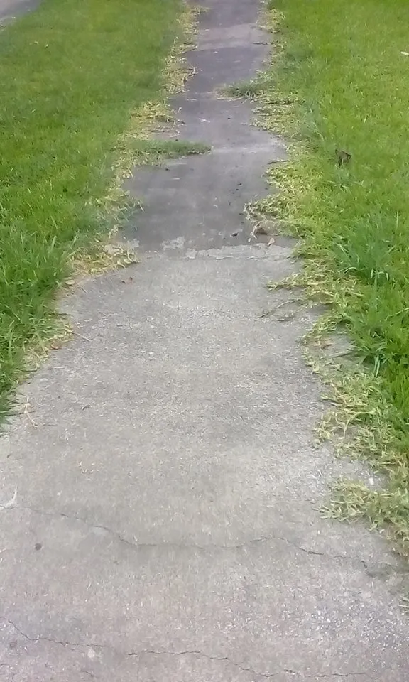 Local landscape design for year-round maintenance in Pasadena, TX by Lawn Service Made Easy