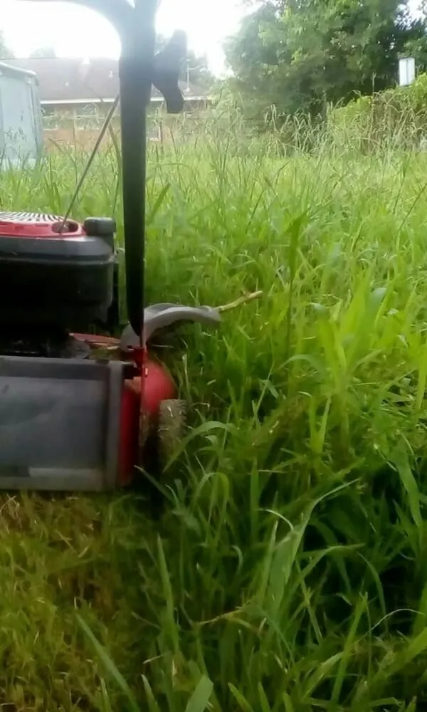 Reliable landscaping services for residential properties across Pasadena, TX - Lawn Service Made Easy