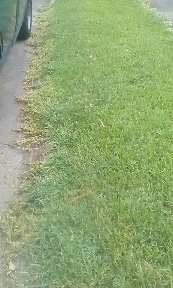 Affordable landscape installation in Pasadena, TX by Lawn Service Made Easy