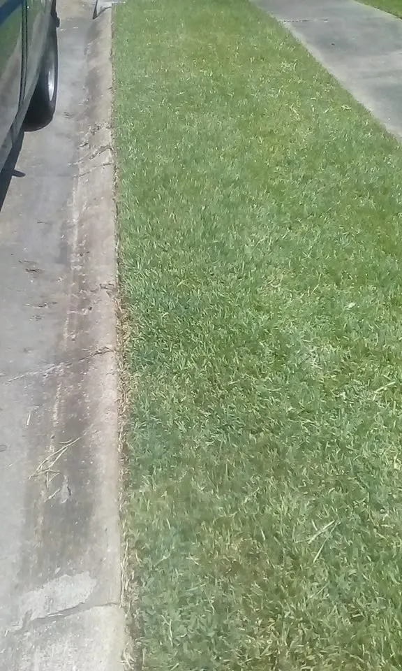 Expert landscape design experts serving Pasadena, TX - Lawn Service Made Easy