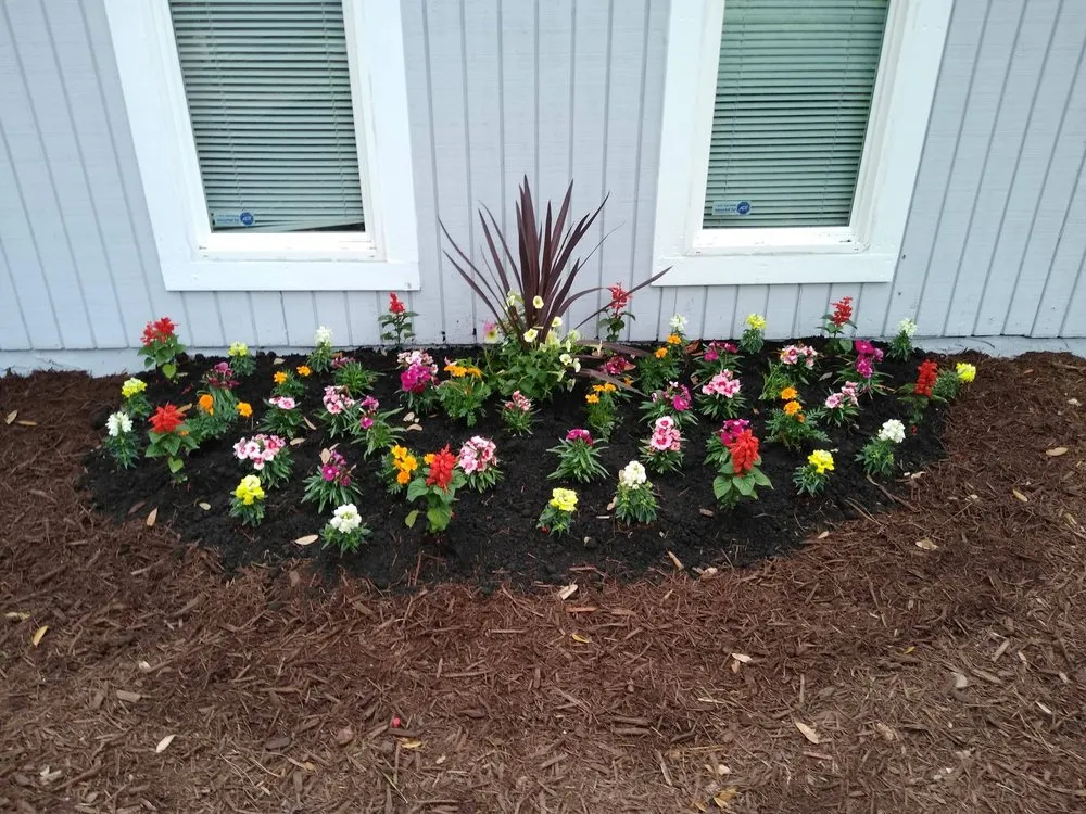 Professional lawn care service experts serving Green Cove Springs, FL - Lawn Service Near Me