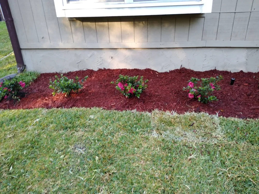 Top-rated landscape design in Green Cove Springs, FL by Lawn Service Near Me