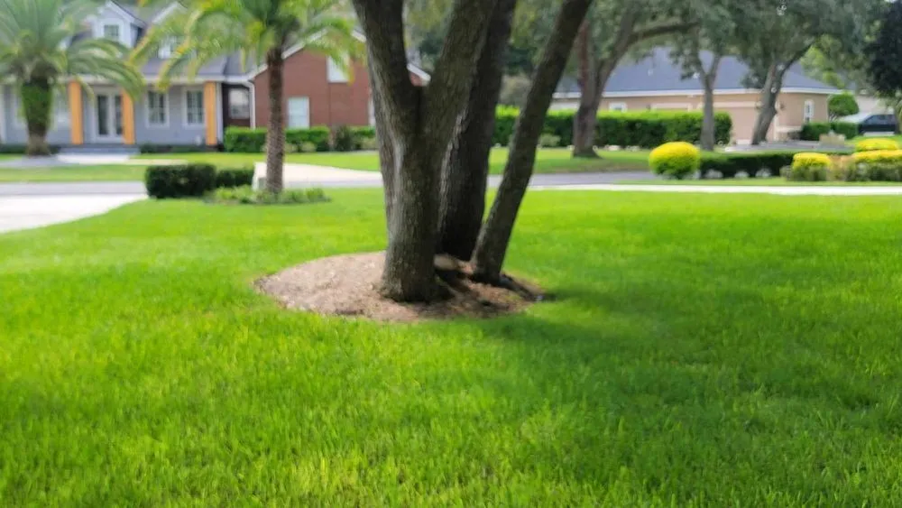 Professional landscape design in Green Cove Springs, FL by Lawn Service Near Me