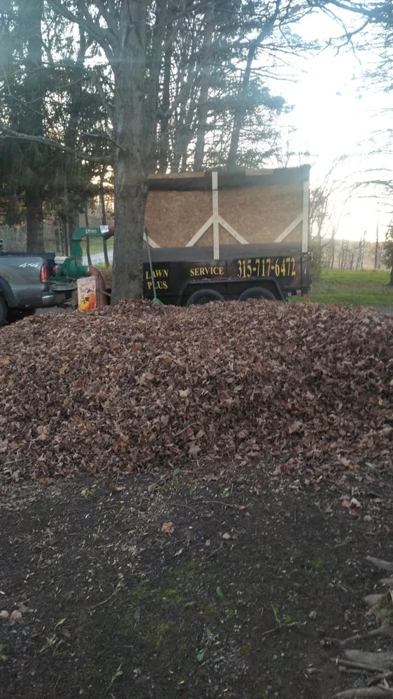 Top-rated landscaping services experts serving Richfield Springs, NY - Lawn Service Plus