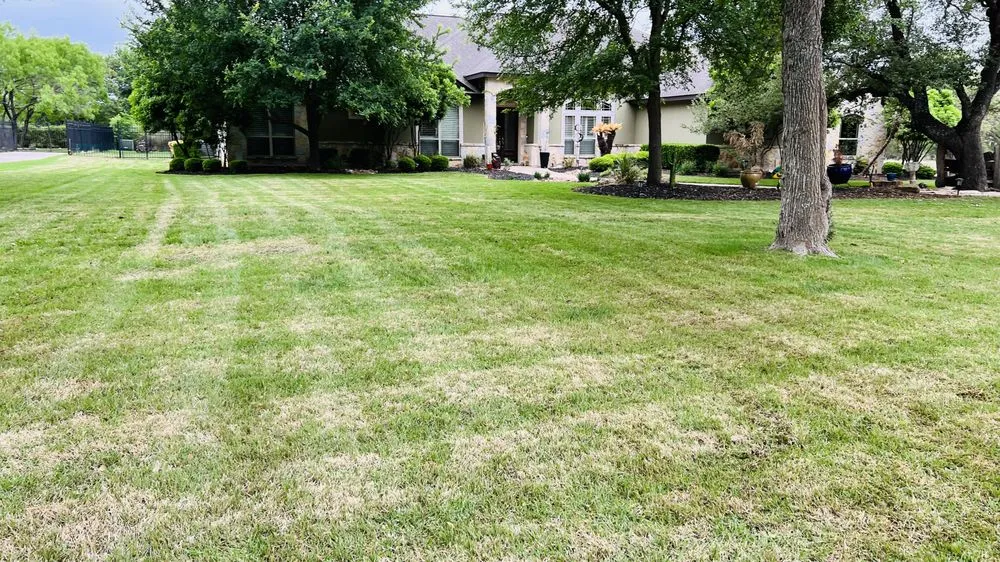 Reliable yard maintenance experts serving San Antonio, TX - Lawn service varela