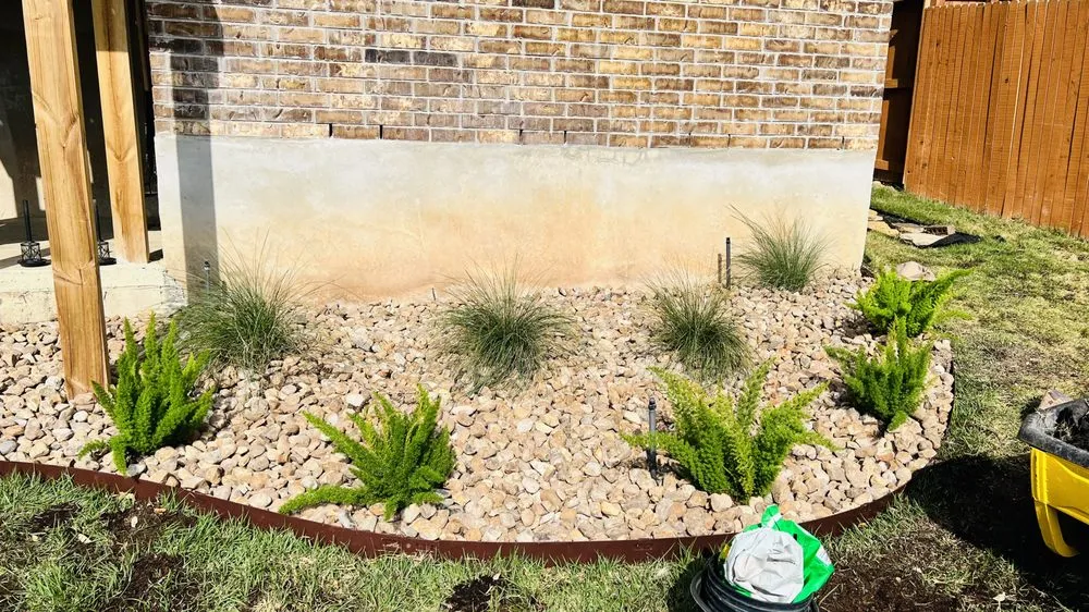 Local lawn care service for beautiful yards in San Antonio, TX by Lawn service varela
