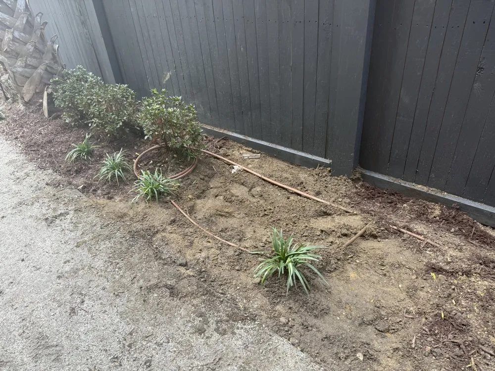 Top-rated landscape design for residential properties in Goose Creek, SC by Lawn Services Aguilar