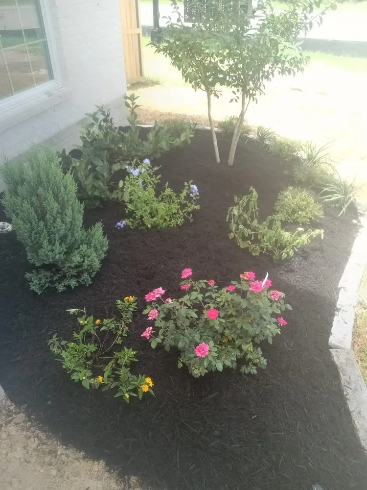 Custom landscaping services for outdoor upgrades across Goose Creek, SC - Lawn Services Aguilar