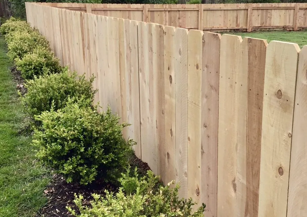 Local residential landscaping experts serving Goose Creek, SC - Lawn Services Aguilar