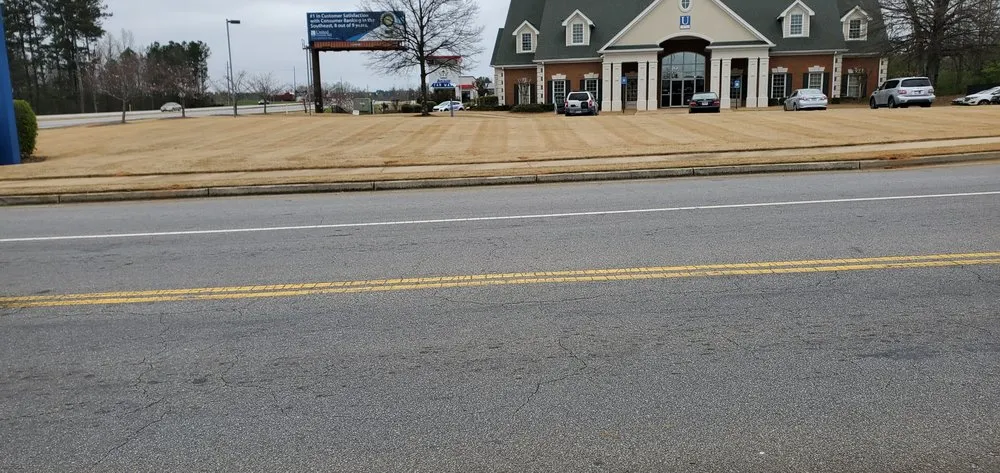 Local yard cleanup service in Athens, GA - Lawn Services and More