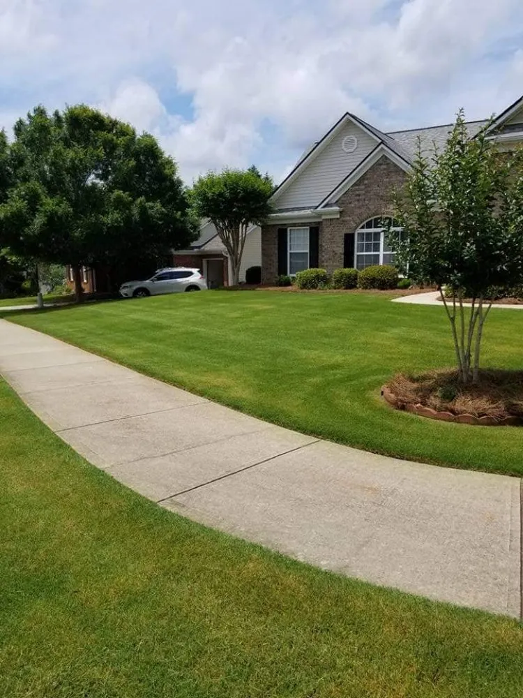 Affordable lawn mowing service near you across Athens, GA - Lawn Services and More