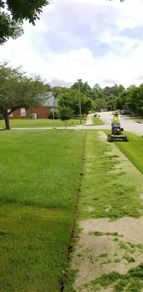 Reliable residential landscaping experts serving Athens, GA - Lawn Services and More