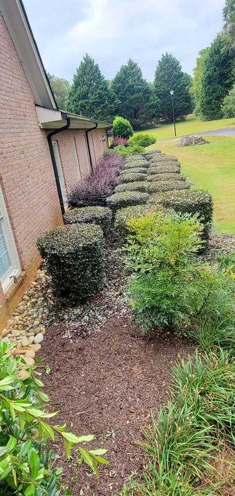 Professional landscaping services in Athens, GA by Lawn Services and More