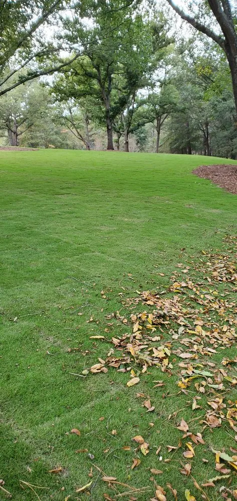 Local garden landscaping for beautiful yards in Athens, GA by Lawn Services and More