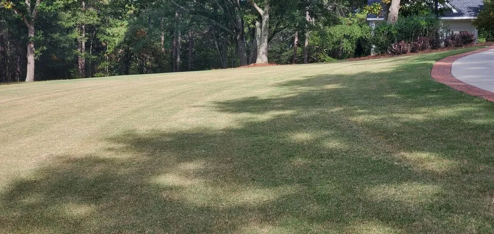 Local landscape installation experts serving Athens, GA - Lawn Services and More