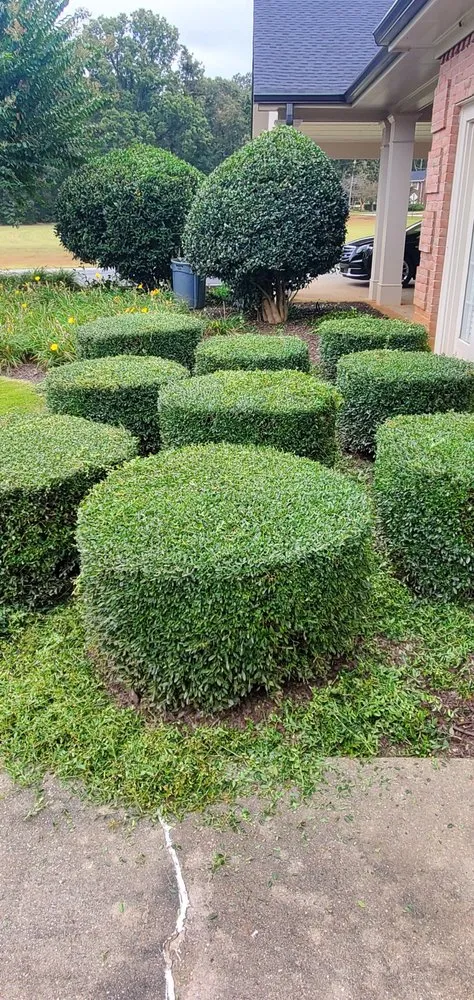 Top-rated garden landscaping with custom design in Athens, GA by Lawn Services and More