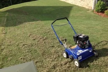 Lawn Services by Heather Logo