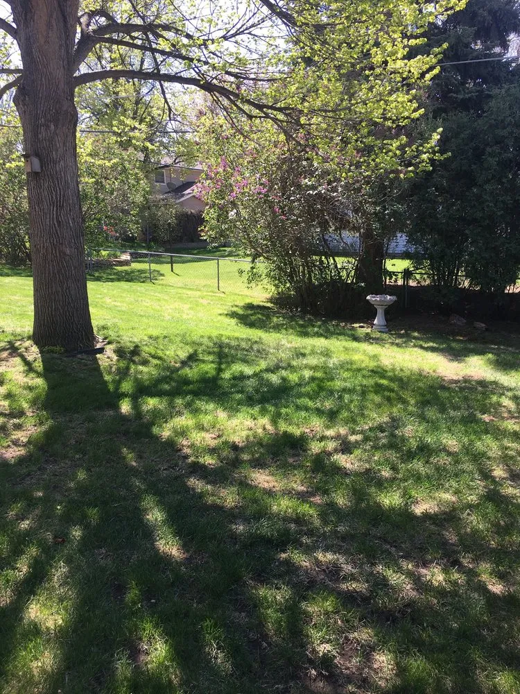 Trusted yard cleanup service in Menoken, ND by Lawn Services by Heather