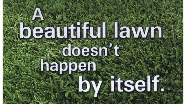 Affordable residential landscaping for beautiful yards in Menoken, ND by Lawn Services by Heather