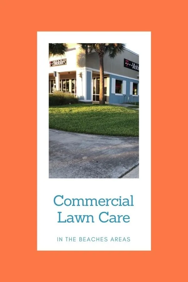 Professional landscaping services in Ponte Vedra Beach, FL by Lawn Services by Pyramid