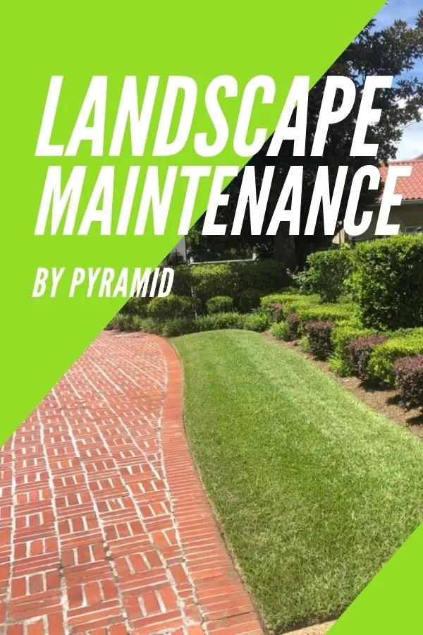 Top-rated yard cleanup service in Ponte Vedra Beach, FL by Lawn Services by Pyramid