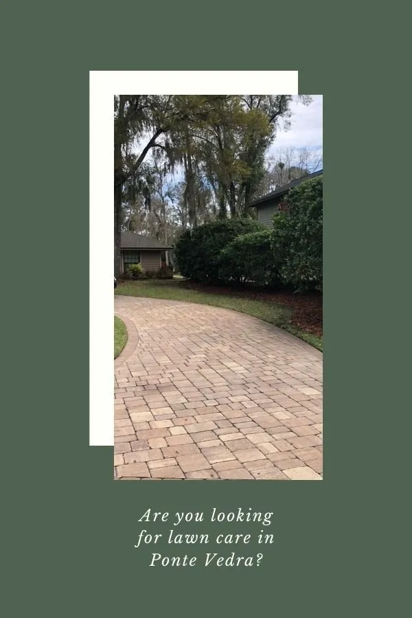 Custom landscape installation in Ponte Vedra Beach, FL - Lawn Services by Pyramid