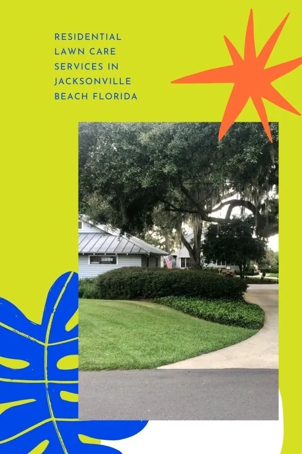 Local yard maintenance experts serving Ponte Vedra Beach, FL - Lawn Services by Pyramid