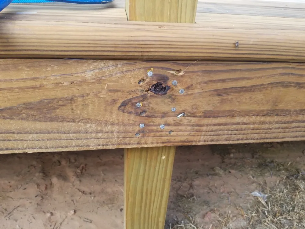 Affordable lawn care service in Galveston, TX - Lawn Services Of Galveston