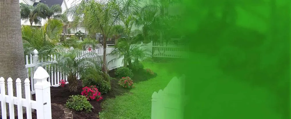 Affordable lawn mowing service experts serving Galveston, TX - Lawn Services Of Galveston