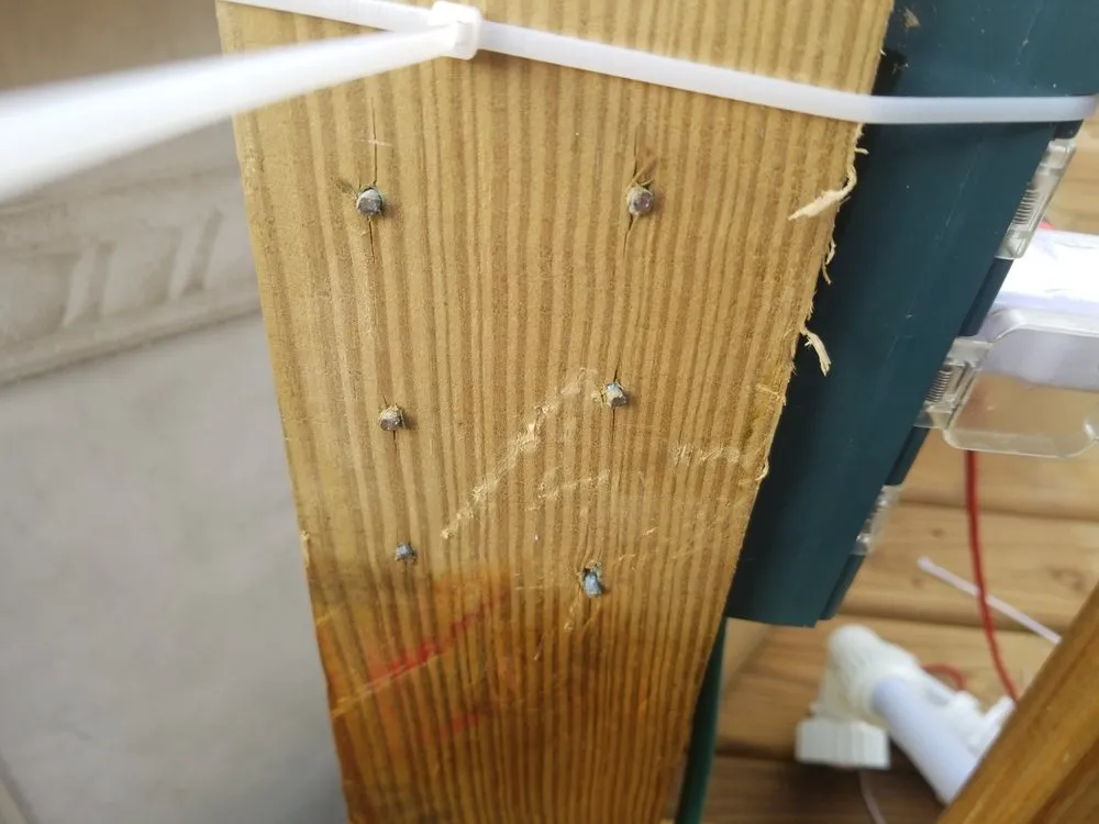 Top-rated lawn care service in Galveston, TX by Lawn Services Of Galveston