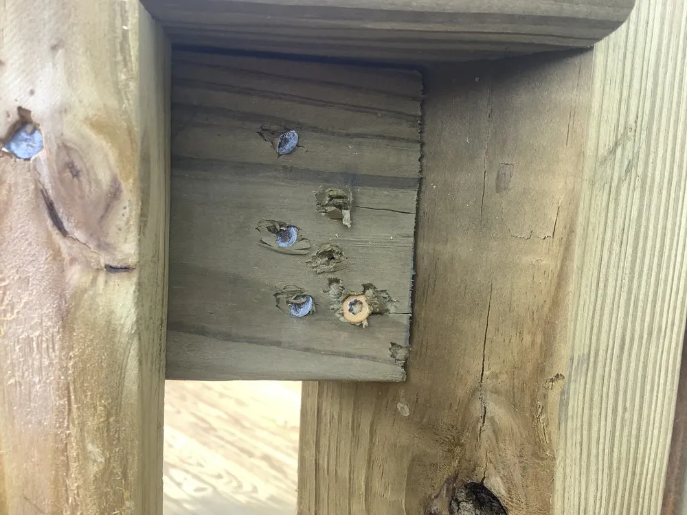 Local outdoor landscaping for beautiful yards across Galveston, TX - Lawn Services Of Galveston