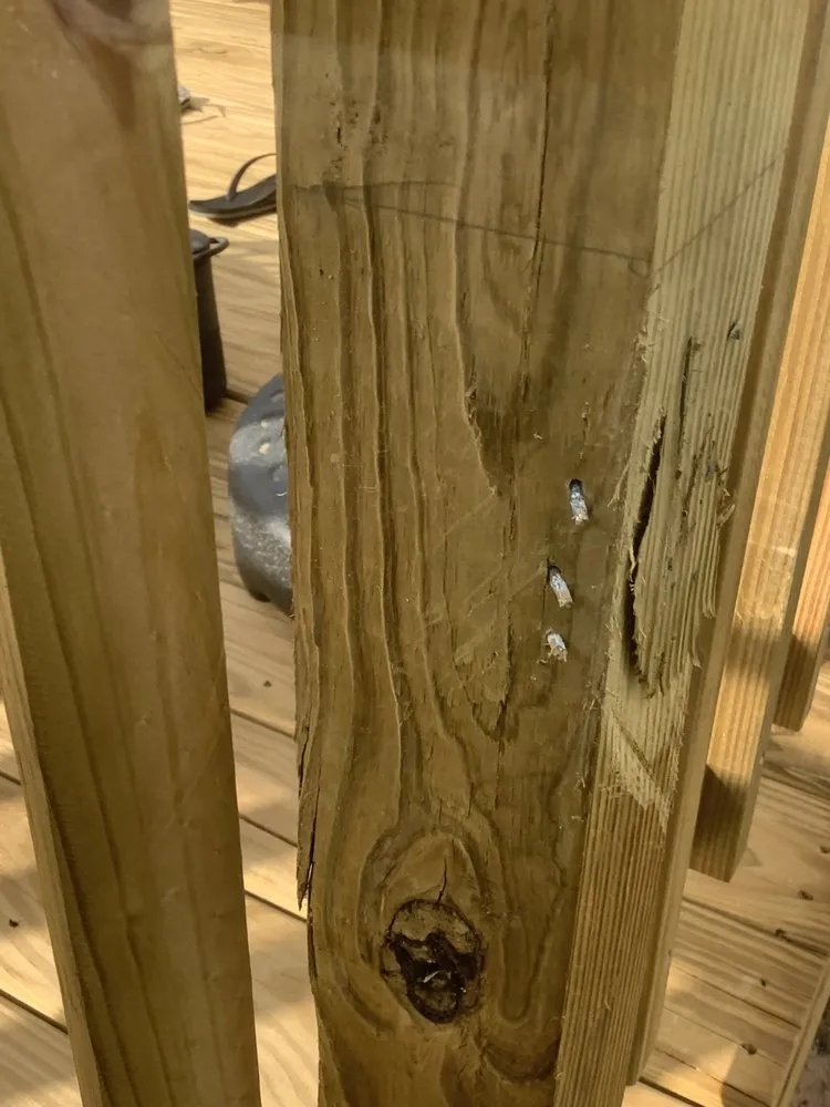 Top-rated outdoor landscaping for year-round maintenance in Galveston, TX by Lawn Services Of Galveston