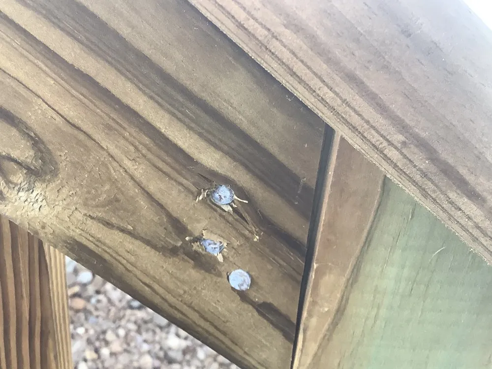 Expert landscape design with custom design in Galveston, TX by Lawn Services Of Galveston