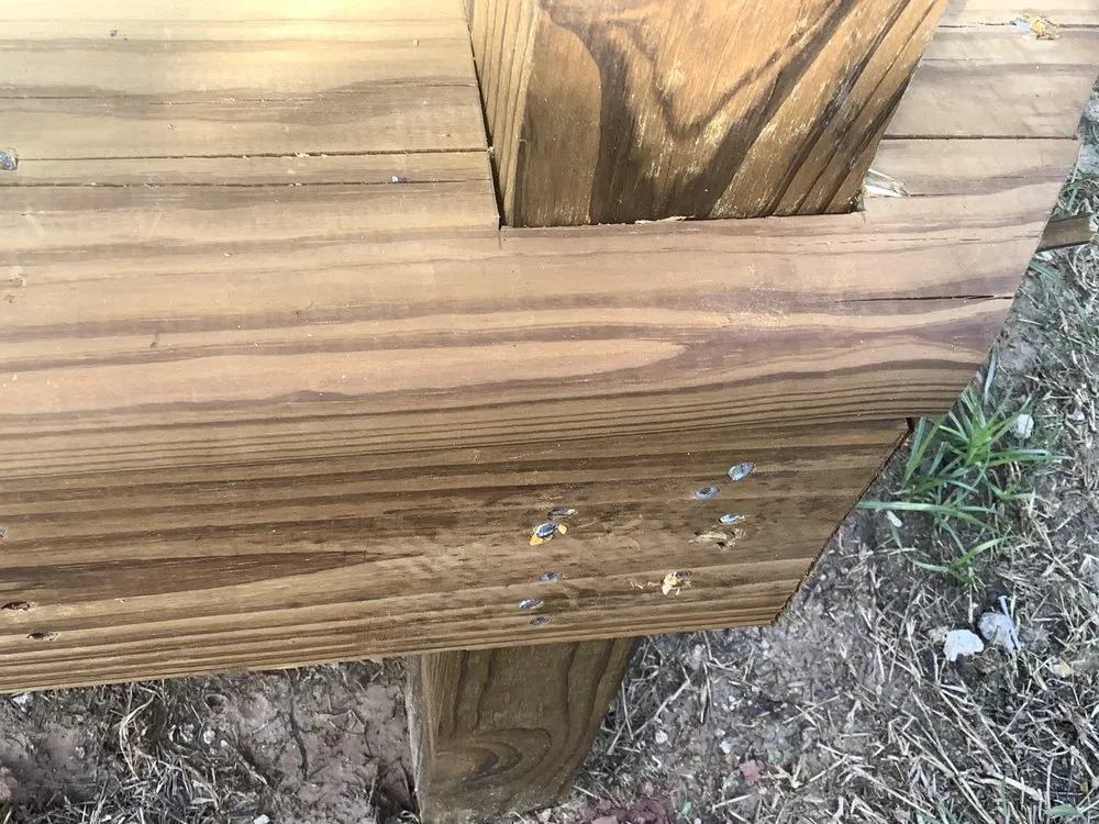 Top-rated yard maintenance near you across Galveston, TX - Lawn Services Of Galveston