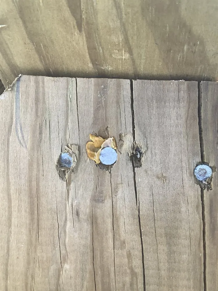 Reliable yard cleanup service in Galveston, TX by Lawn Services Of Galveston