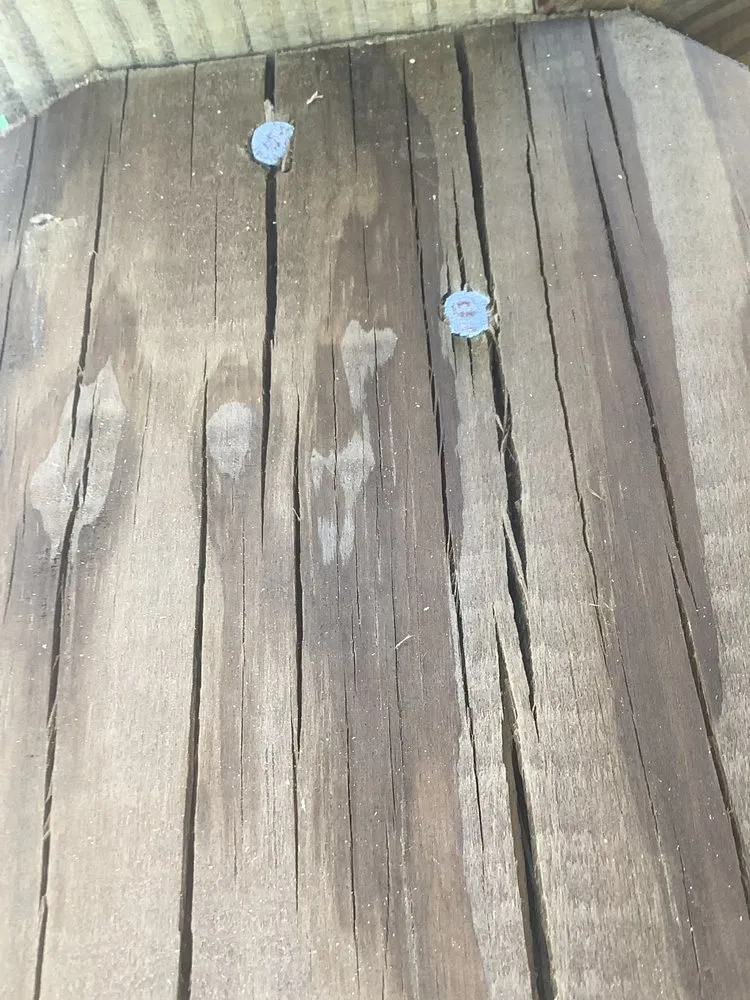 Trusted lawn care service in Galveston, TX - Lawn Services Of Galveston