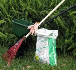 Custom landscaping services in Myrtle Beach, SC - Lawn Shark Landscaping