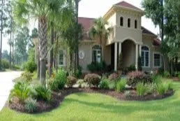 Affordable yard cleanup service in Myrtle Beach, SC - Lawn Shark Landscaping