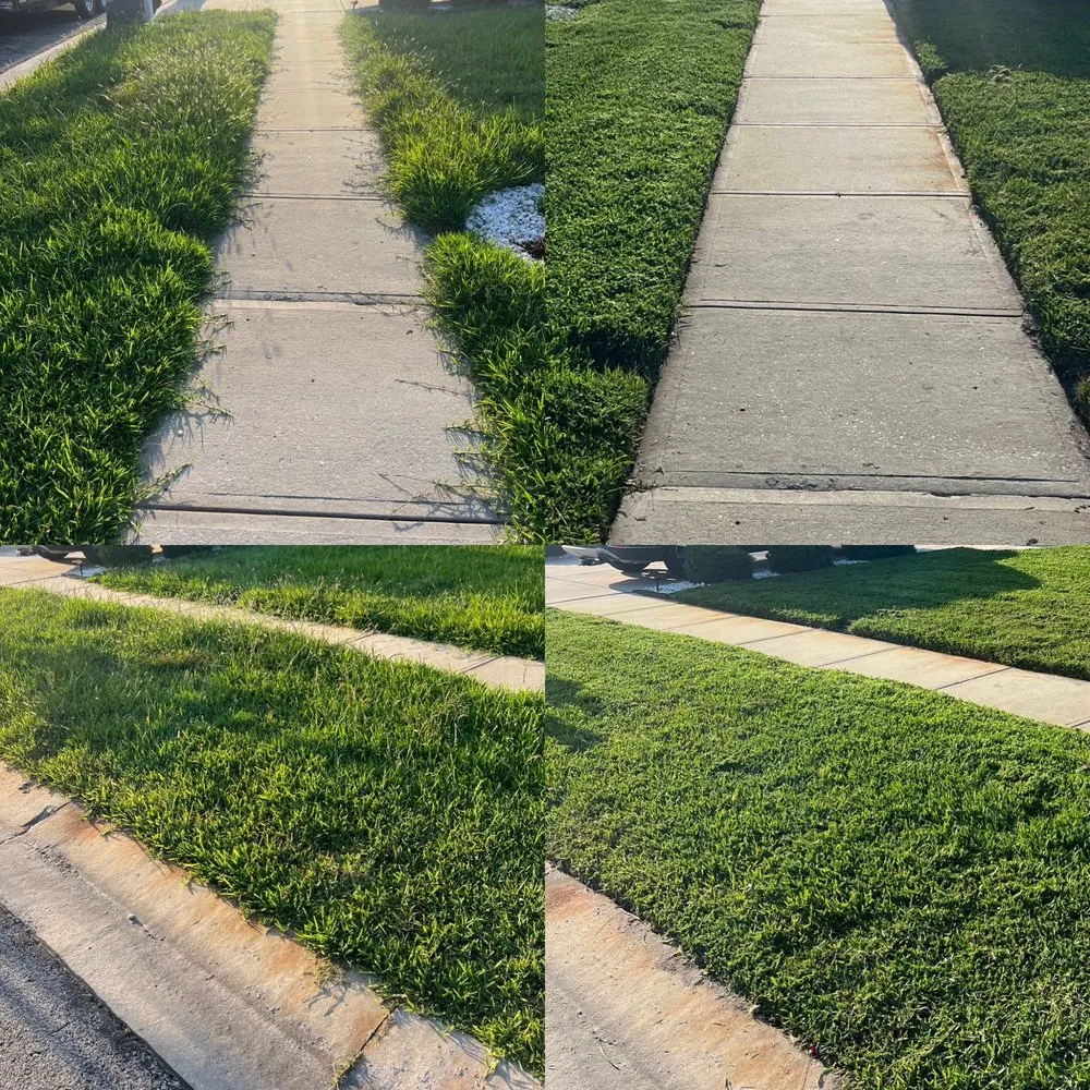 Custom landscaping services with custom design in Wesley Chapel, FL by Lawn Sharks 2