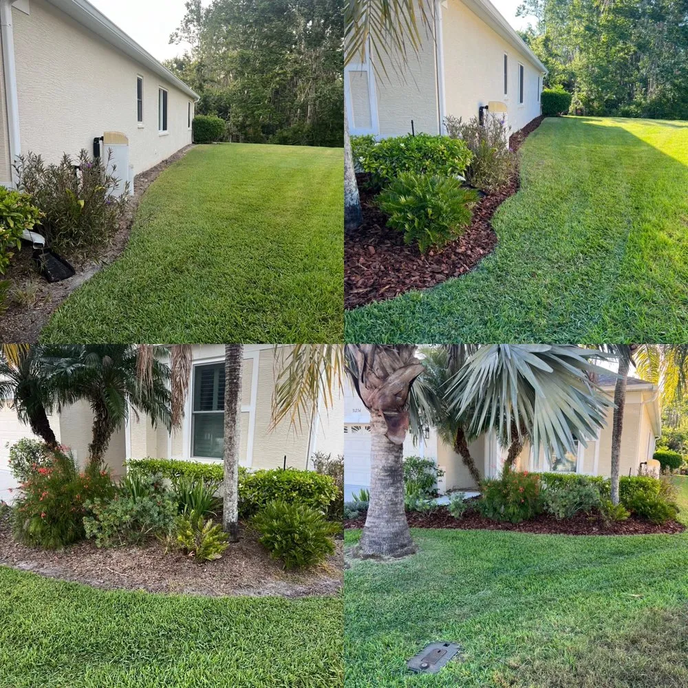 Affordable yard cleanup service with custom design across Wesley Chapel, FL - Lawn Sharks 2